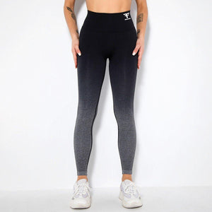 Legging Ombré Seamless-Fit - FITFRENCHIES