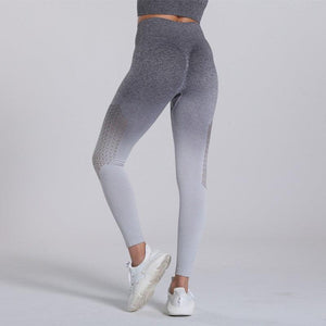 Legging ombré Shadowfit - FITFRENCHIES